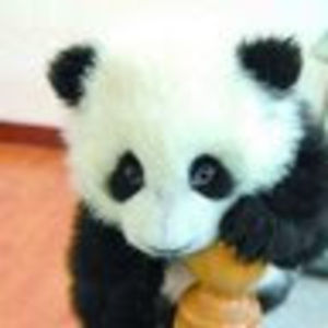 Meet your Posher, Yueting